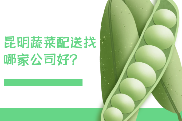 昆明蔬菜配送找哪家公司好？